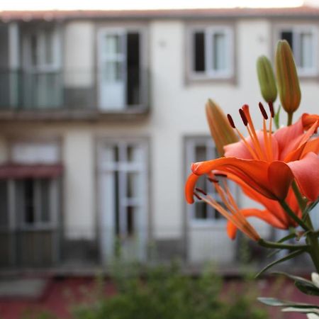 Dear Porto Guest House Kültér fotó